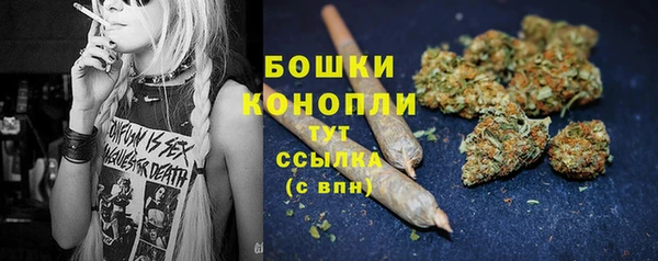стафф Белокуриха