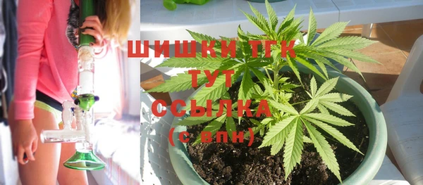 прущие крисы Беломорск