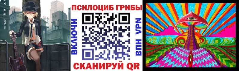 цены наркотик  Неман  Псилоцибиновые грибы GOLDEN TEACHER 